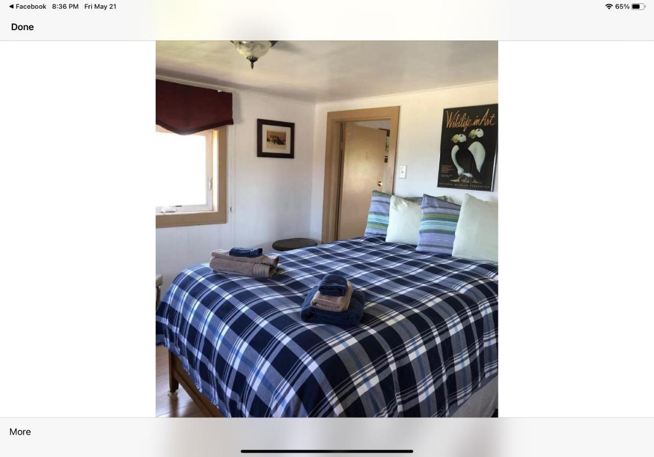 Bird Island B&B Bed And Bubble Elliston Buitenkant foto