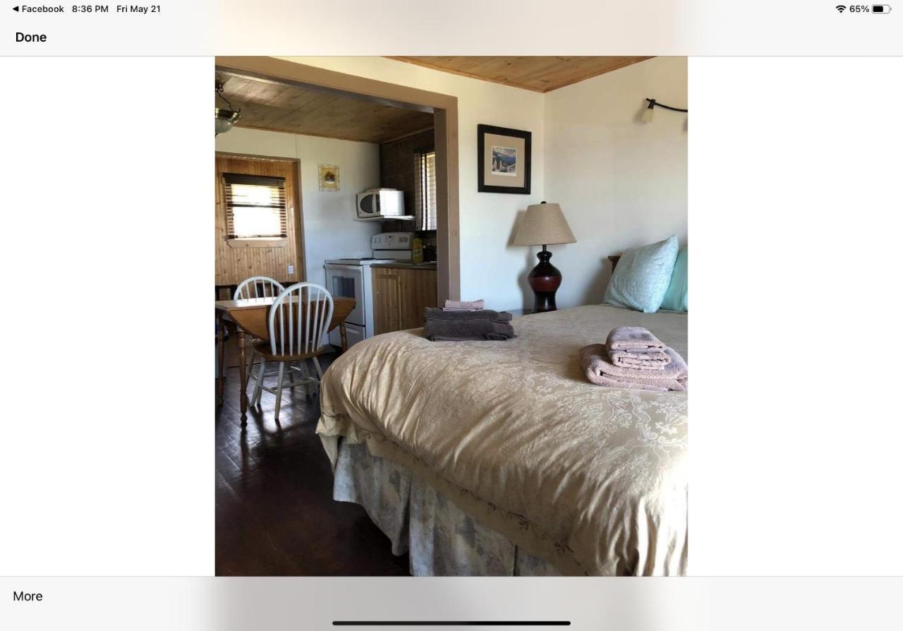 Bird Island B&B Bed And Bubble Elliston Buitenkant foto