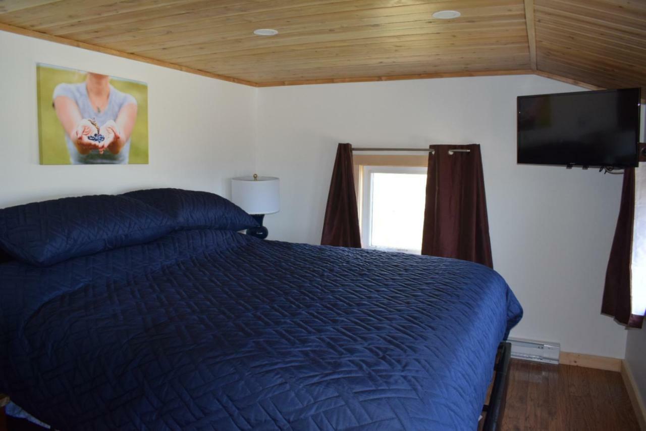 Bird Island B&B Bed And Bubble Elliston Buitenkant foto