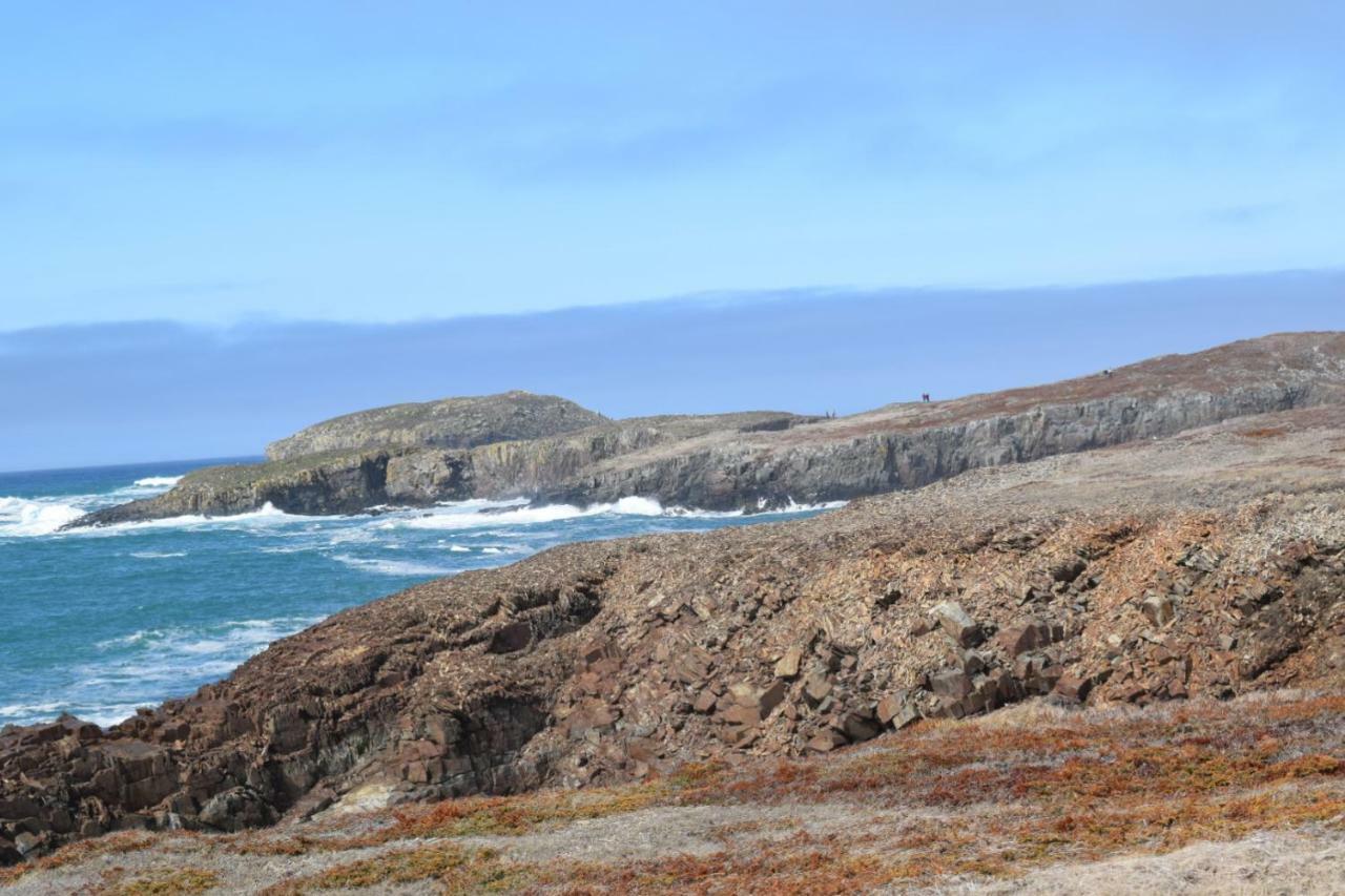 Bird Island B&B Bed And Bubble Elliston Buitenkant foto